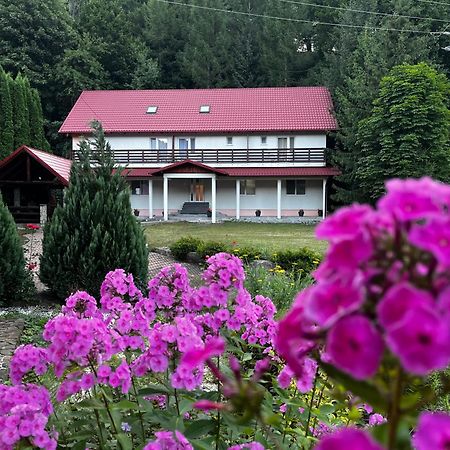 Vacation Villa Сучевіца Екстер'єр фото