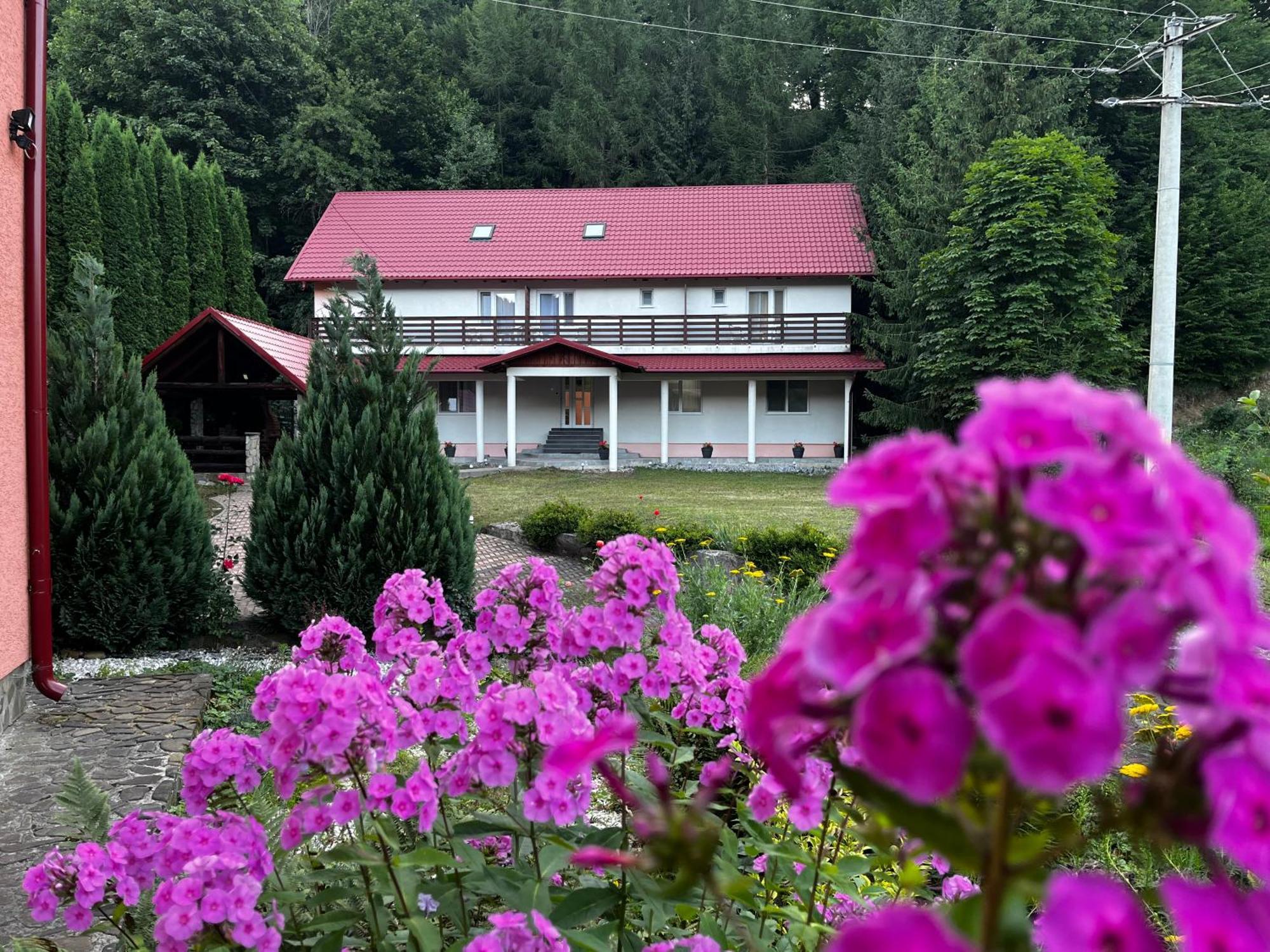 Vacation Villa Сучевіца Екстер'єр фото